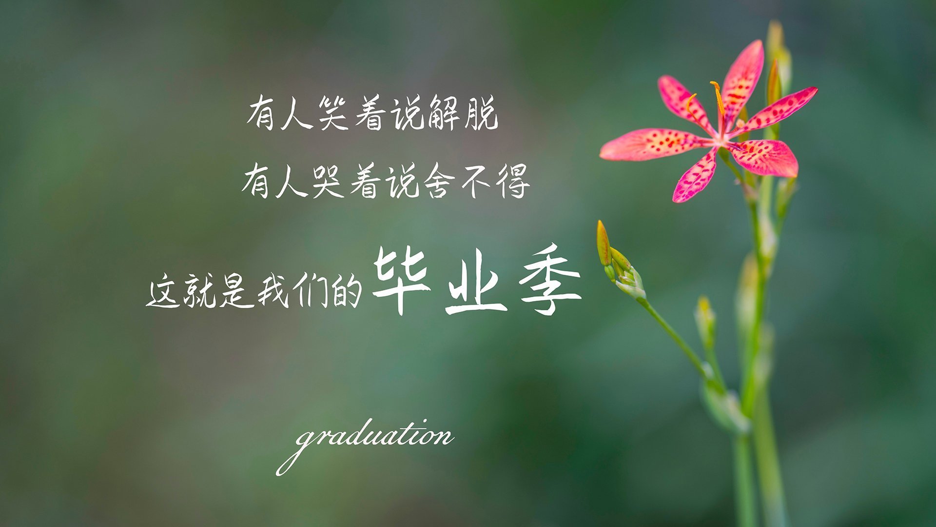 开云体育-“中国足球裁判技术培训班全国巡讲圆满结束”，足球裁判培训视频