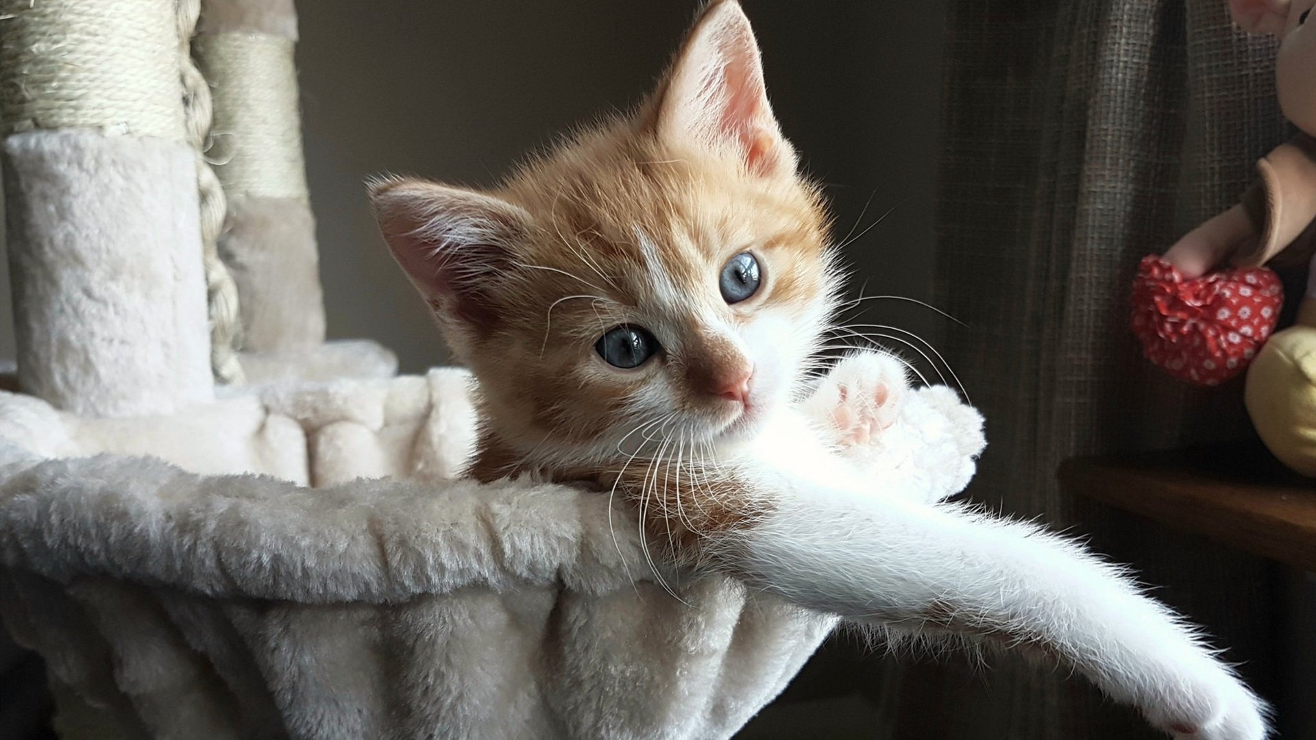 “场外精彩:明星球员的温馨生活瞬间”,明星球员足球