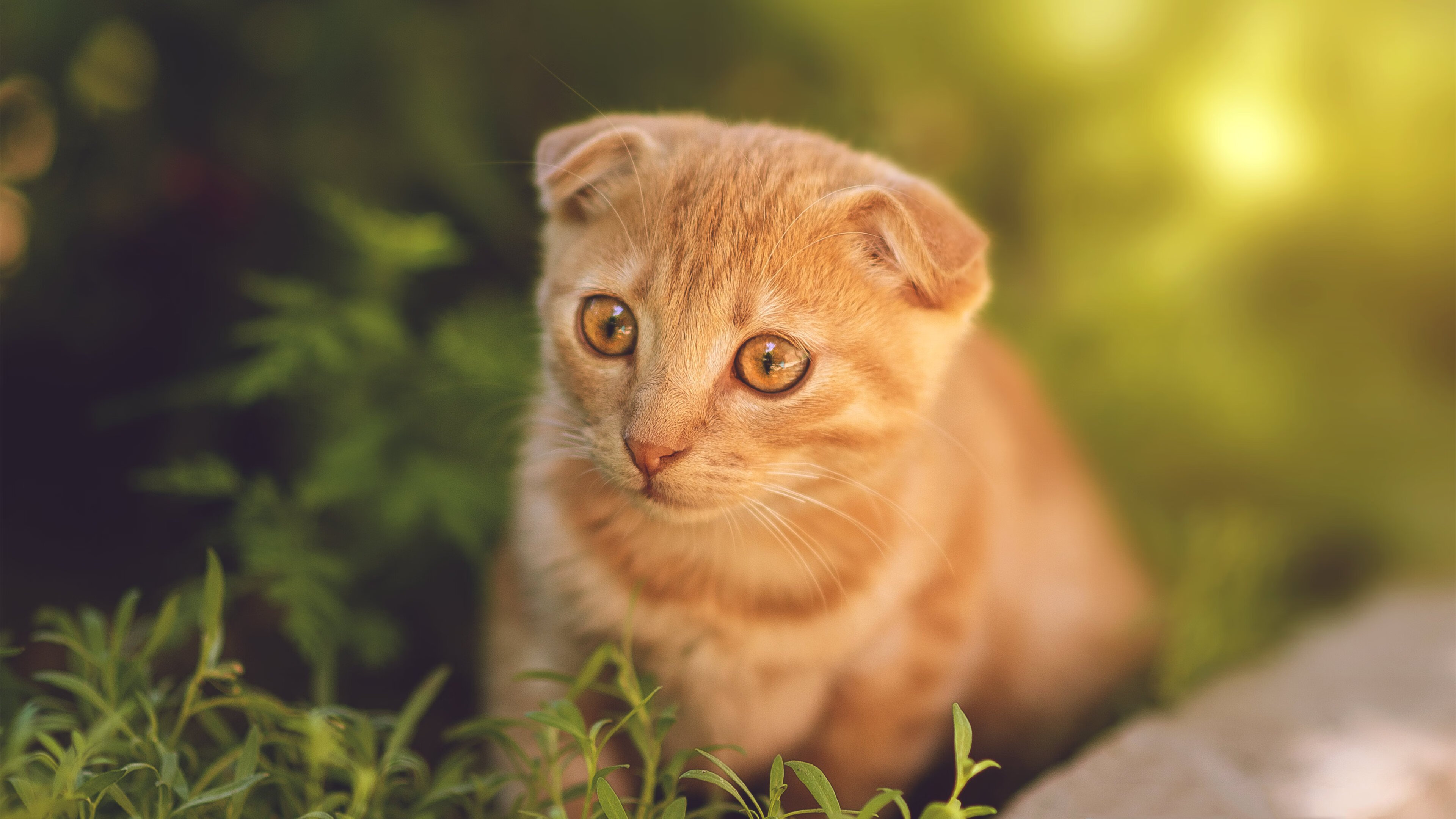 爱游戏体育官方网站-“速度与激情”的碰撞：顶尖车手激烈竞争瞬间，速度与激情车手排名