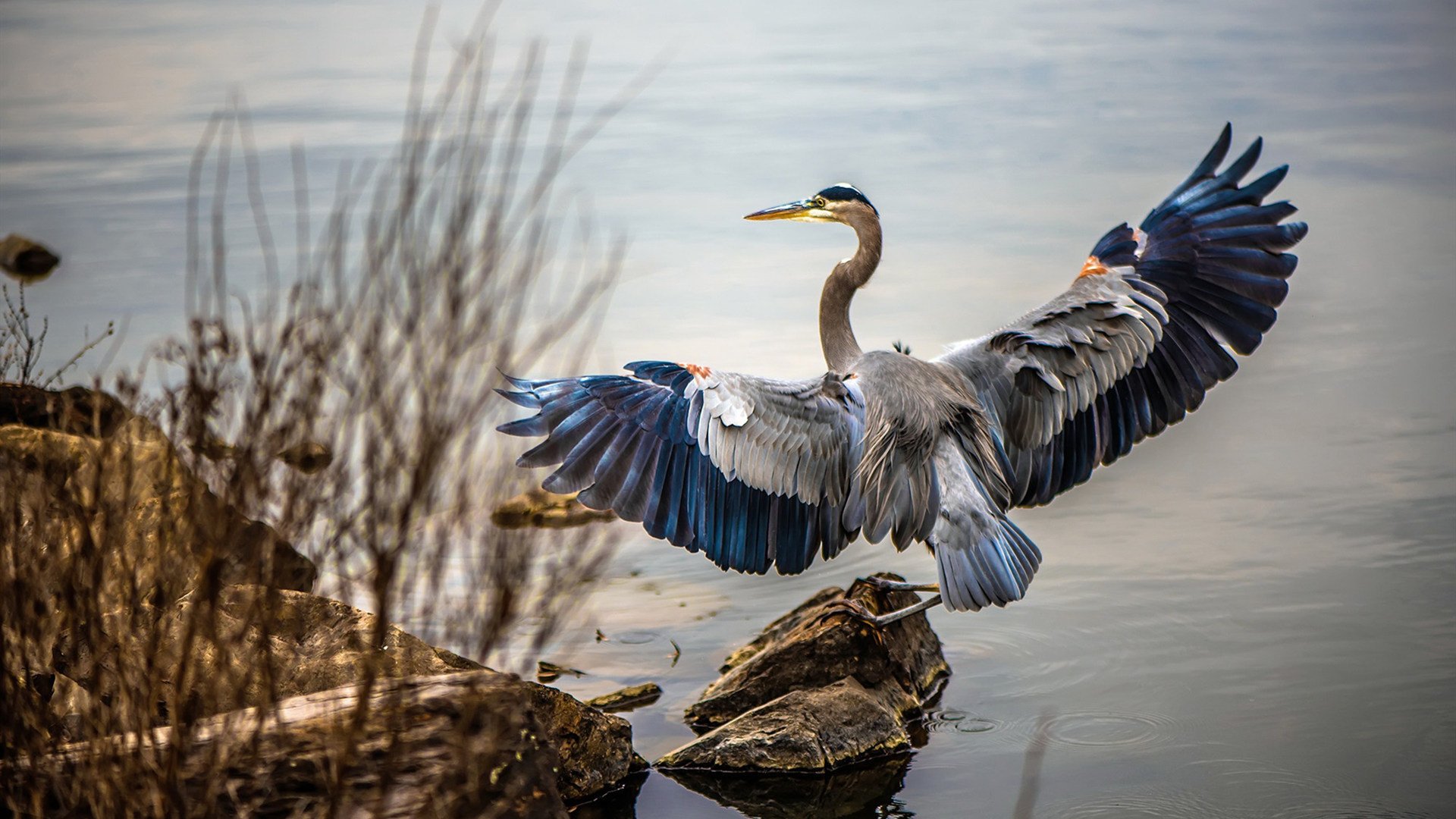 爱游戏官方网站-【明星运动员专访】比赛中他们的心态调节和训练经验，运动员 心态