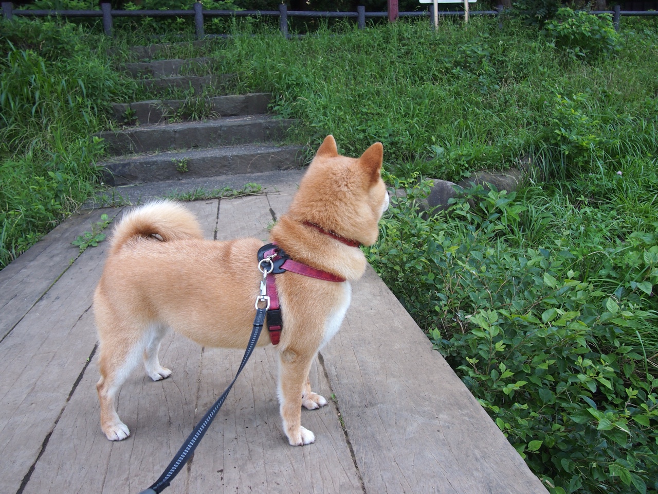 爱游戏官方网站-电竞产业政策调整引发业界广泛关注，电竞产业政策扶持