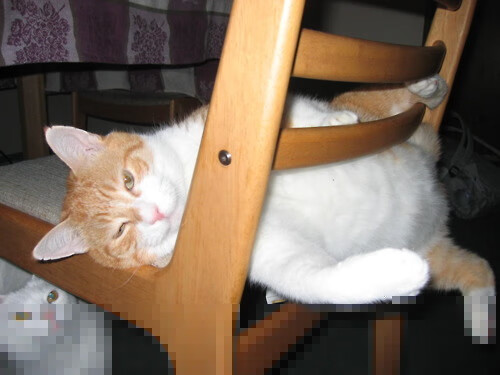 爱游戏体育APP下载-青训体系升级带动区域足球产业带快速发展，足球青训训练营