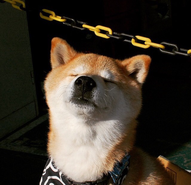 爱游戏体育app-广州富力主场-击败河南建业，保持胜利势头，广州富力主场叫什么