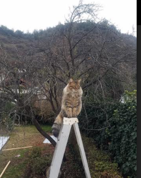 爱游戏官网-江苏队球员发挥巅峰，取得不俗战绩，江苏的球员