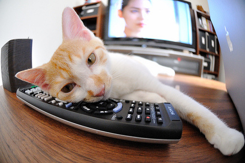 江苏队球员发挥巅峰,取得不俗战绩,江苏的球员