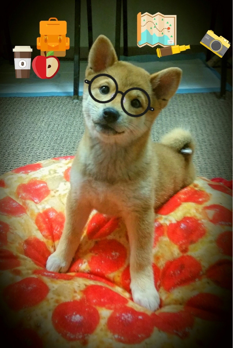 AYX体育官网-火拼传奇！女足烽火再起，胜者才能笑到最后，女足拼抢