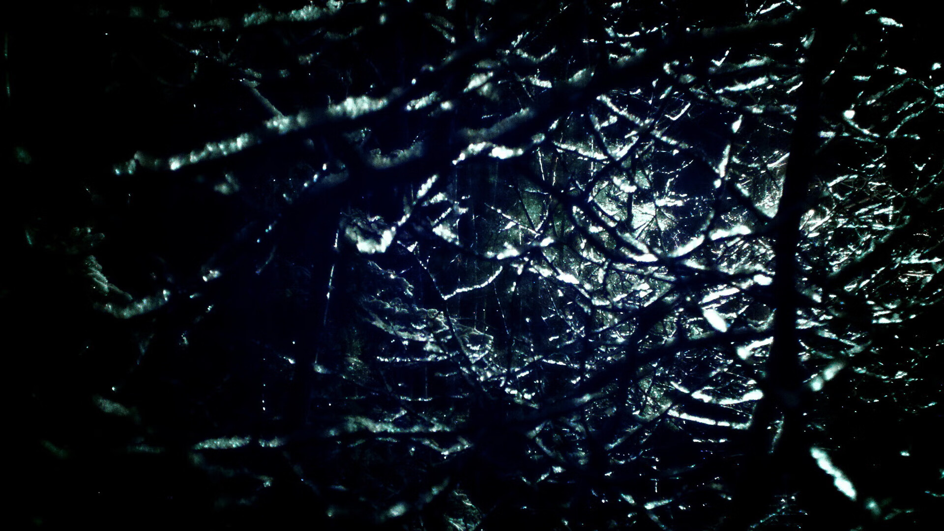 突尼斯篮球联赛赛程紧凑,突尼斯篮球球星