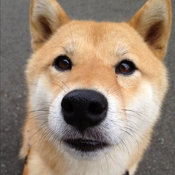 腾讯电竞赛事奖金规模创新高,腾讯比赛奖金多久到账