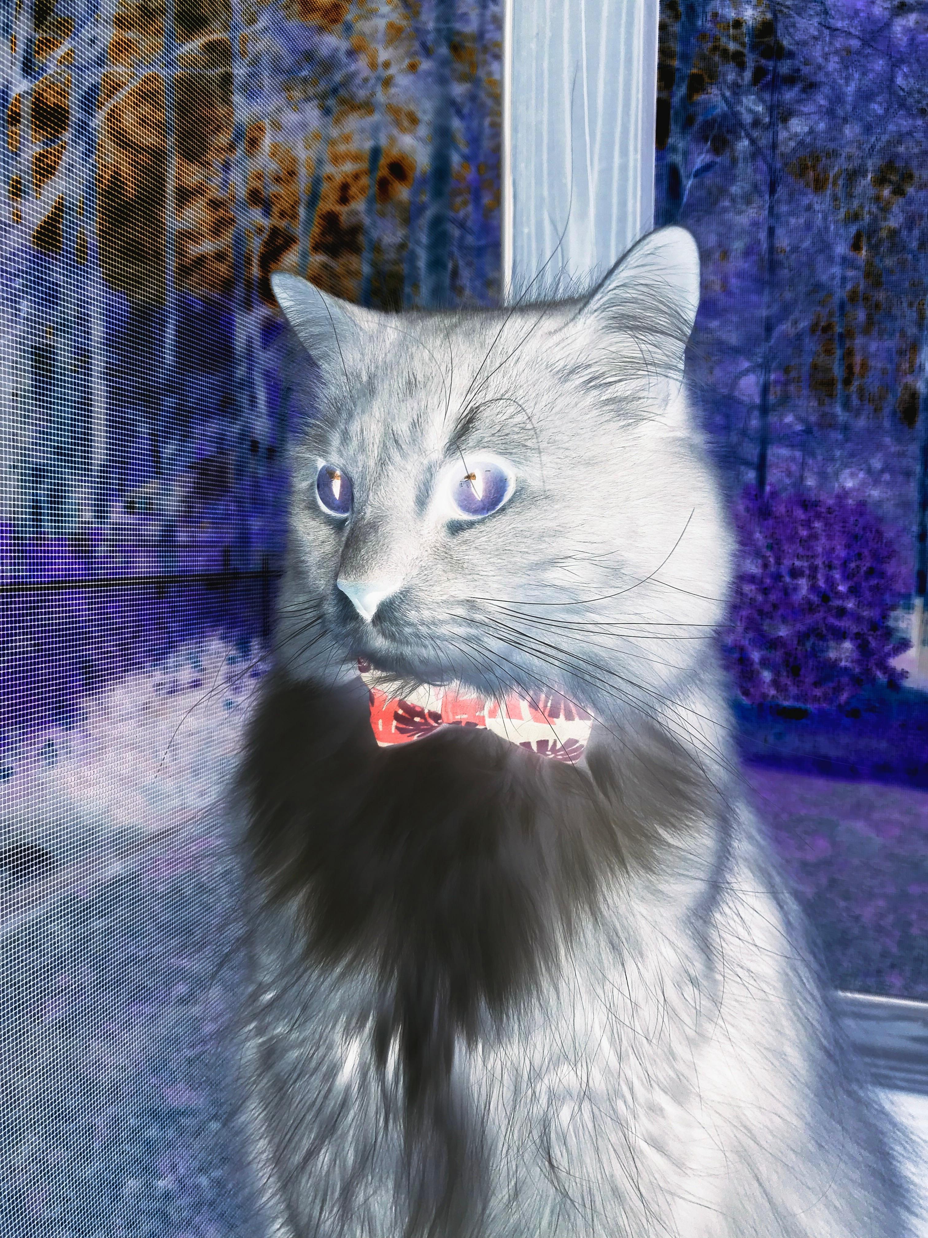 爱游戏电竞官网-中国篮球教练员执教理念转型及培训体系构建，中国篮球教练员等级划分标准