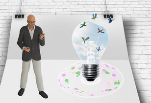 爱游戏官网-中国篮球职业联赛俱乐部财务风险管理及控制，篮球俱乐部的风险与对策