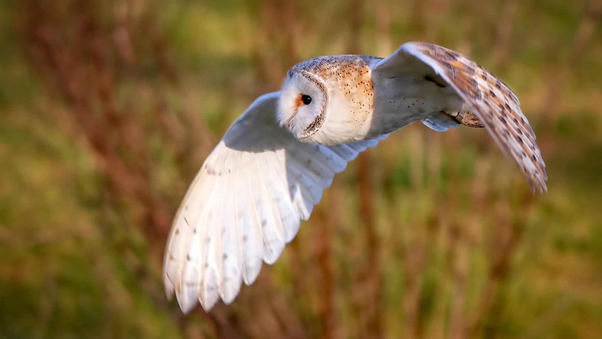 爱游戏体育（AYX）官方APP下载-中超联赛强强对话表现整理，中超比赛强度