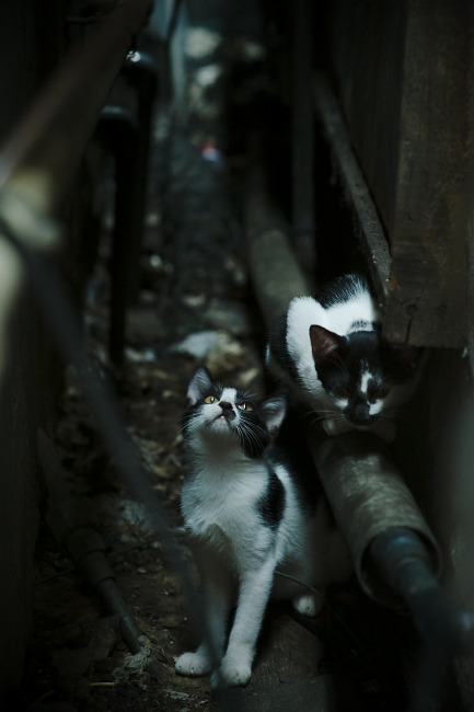 爱游戏app下载-全国青少年射箭锦标赛精彩纷呈，群雄逐鹿，全国青少年射箭比赛