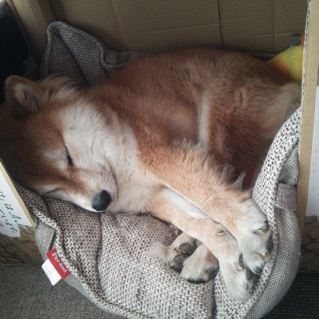 爱游戏 电竞-意甲边路战术从传中转向控球创新趋势，意甲边路战术从传中转向控球创新趋势是什么