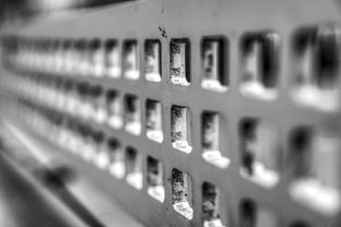 爱游戏体育APP下载-高校运动训练科学管理模式创新实践，运动训练科研管理工作要求