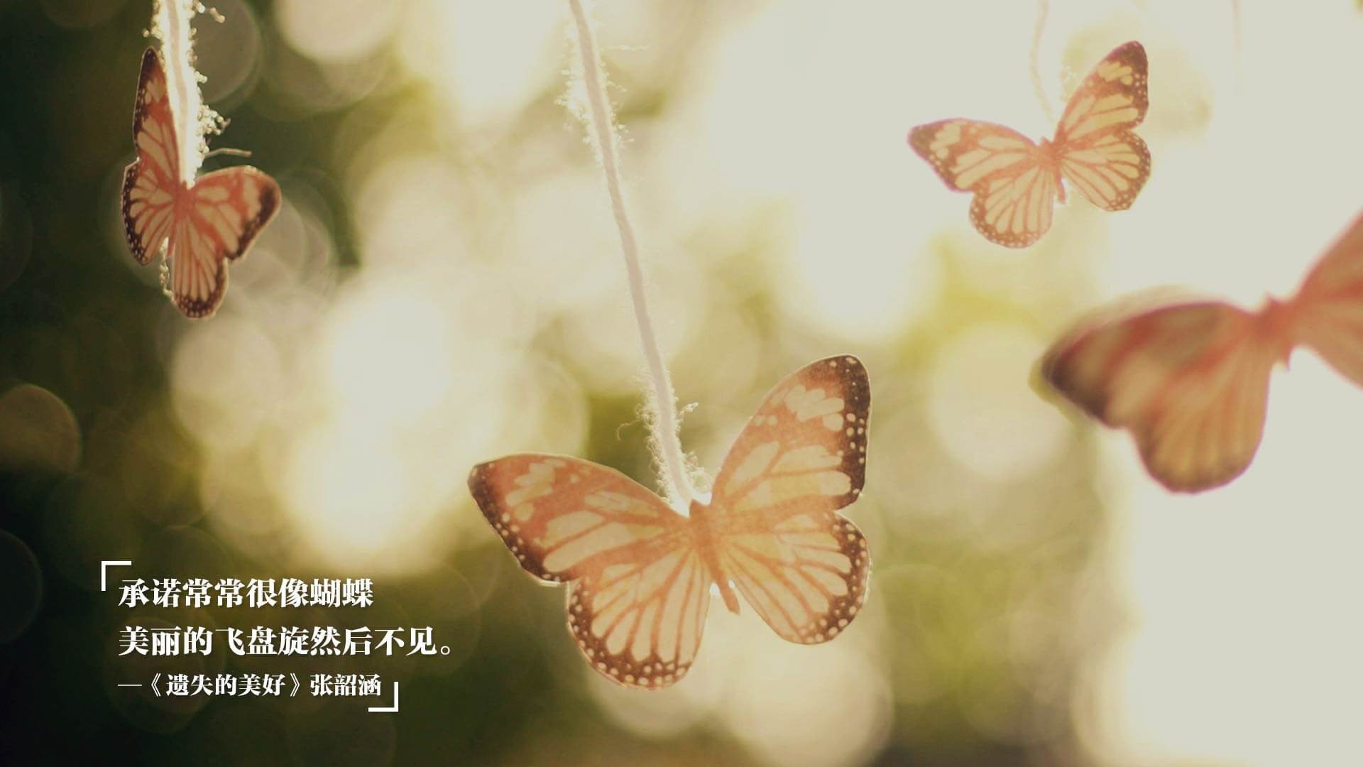 AYX SPORTS-“高新体育中心武术赛：传统与现代结合，展现中国武术魅力”