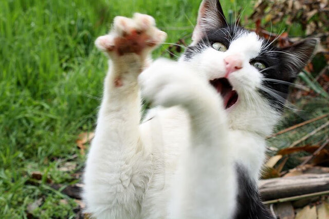 历史对决再度上演昔日恩怨能否在场上得以解决,历史对对碰