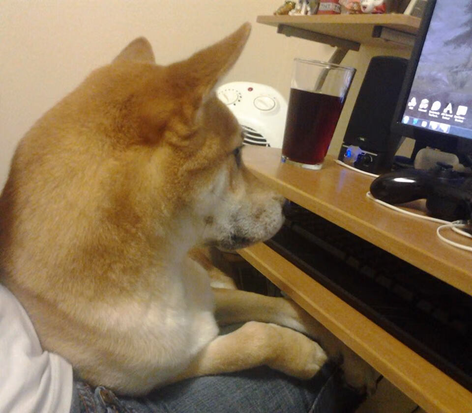 女子排球选手征战海外联赛表现稳定，谈论国际女子排球的海报的对话