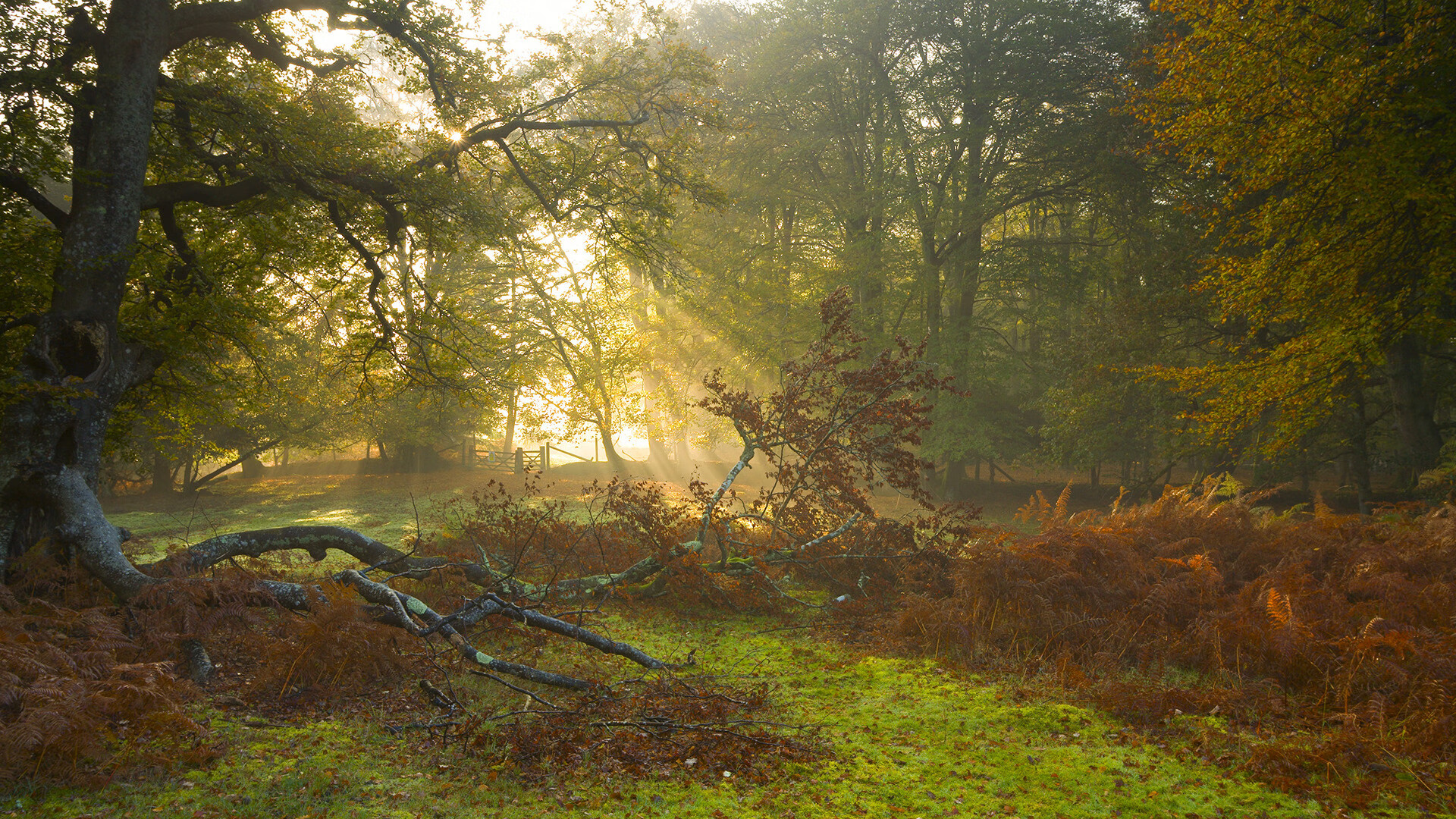 快船三分命中率位列联盟前三,快船三分命中率联盟第一