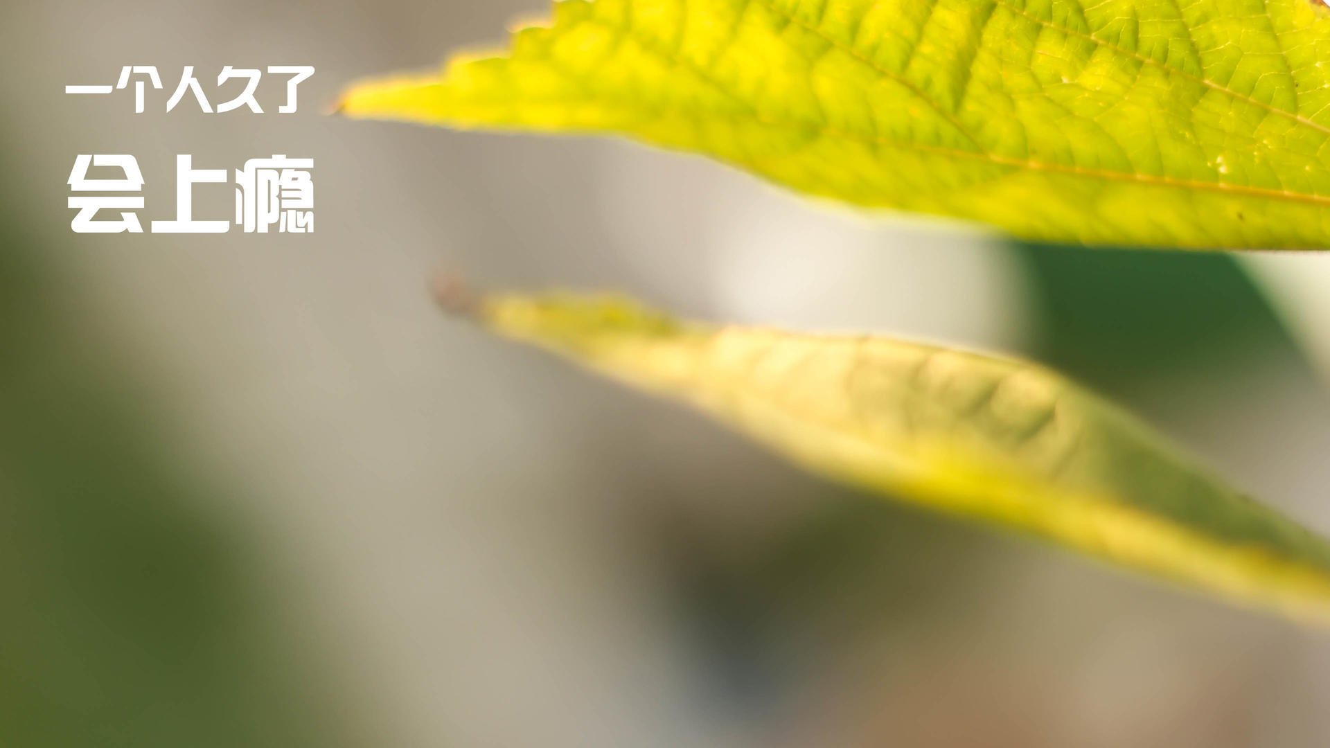 爱游戏-篮球运动员伤病康复情况，篮球运动员疾病