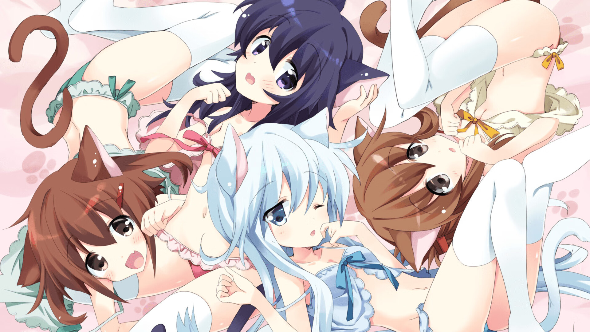 谢佩玲完美入水赢得现场喝彩,谢佩新简历