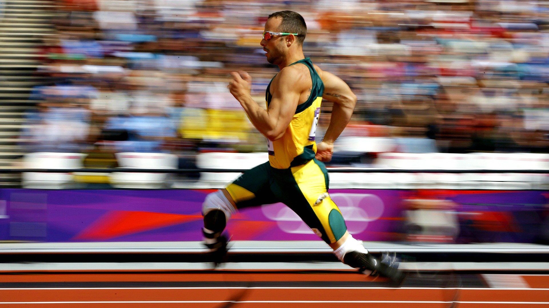 体育新闻内容导向与受众需求匹配分析，体育新闻报道的基本要求